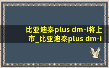 比亚迪秦plus dm-i将上市_比亚迪秦plus dm-i二手